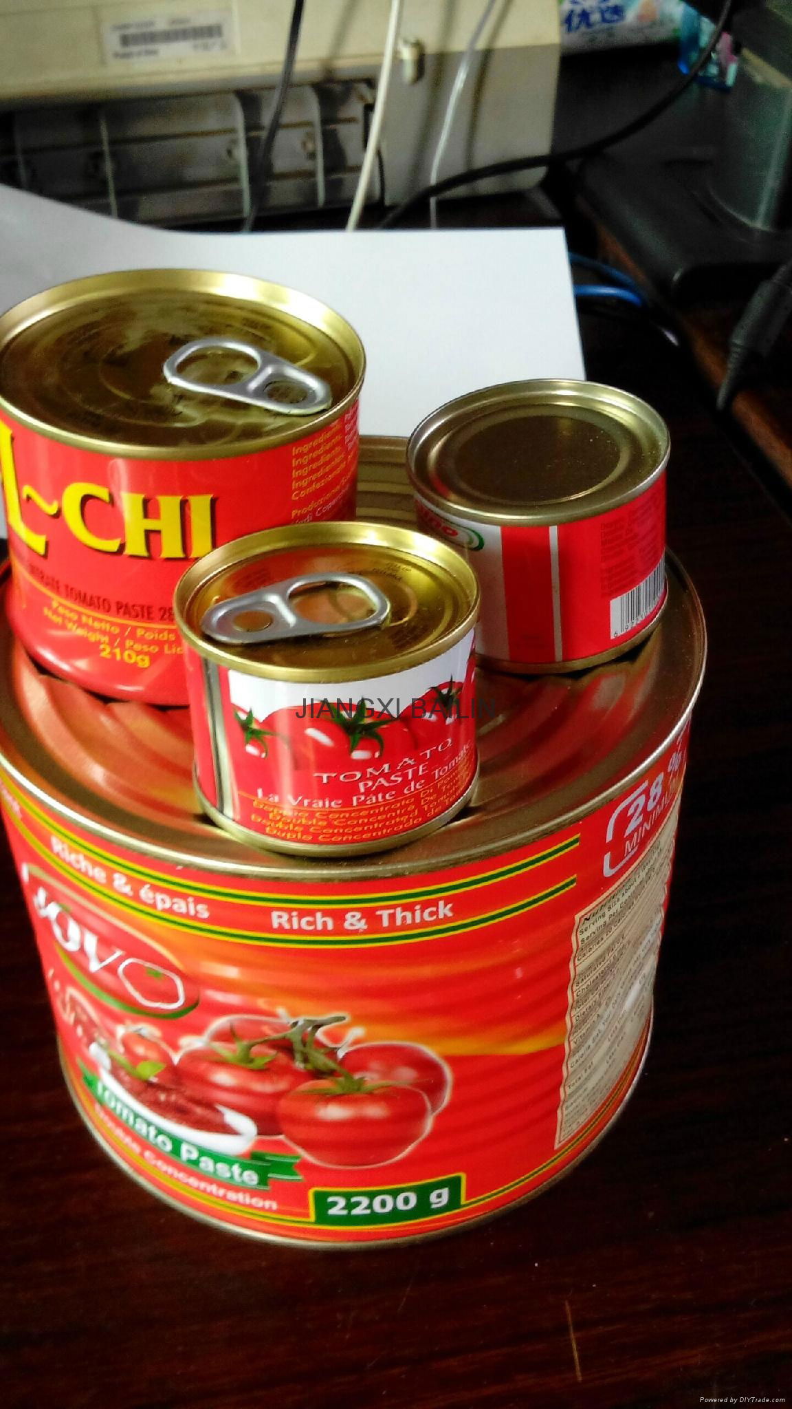 canned tomato paste to Nigeria 2