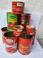 Canned tomato paste export to africa brix 28-30% 1