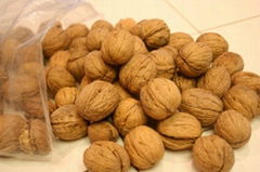  Walnuts & Walnut Kernel for sale