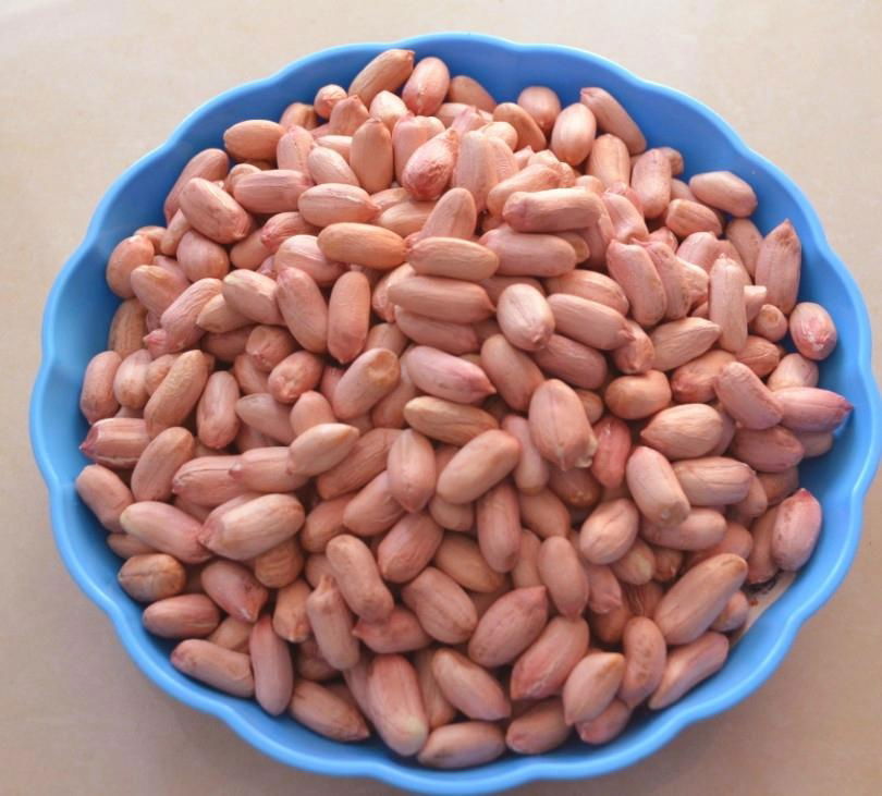  Raw Peanut kernel ,Groundnut