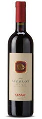  Merlot veneto wine