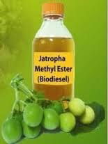 Jatropha Oil