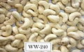 WW 210 WW 320 WW240 CASHEW NUTS  1