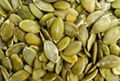 Pumpkin seeds 1