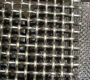 Crimped Wire Mesh 2