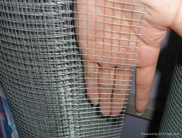 Crimped Wire Mesh 4