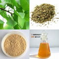 Ginkgo biloba extract 3