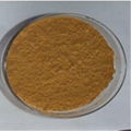 Eucommia Ulmoides Extract 4