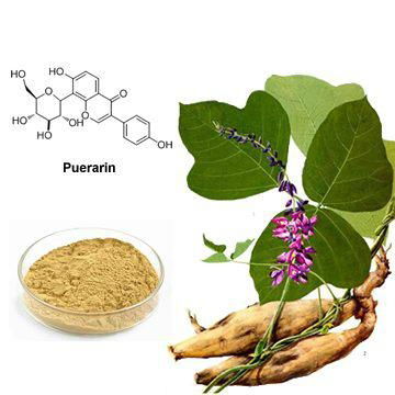 Pueraria Extract  2