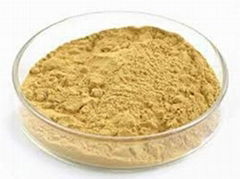 Honeysuckle Extract 