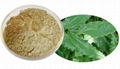 Epimedium Extract 1