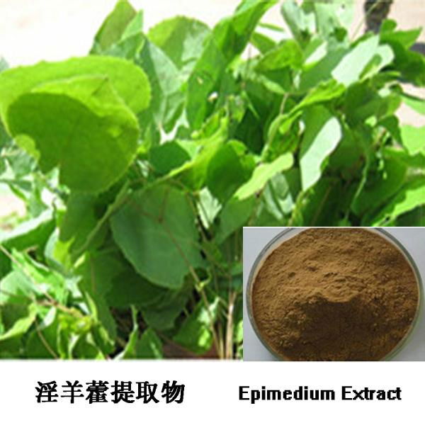 Epimedium Extract 2