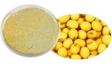 Soybean Extract 3
