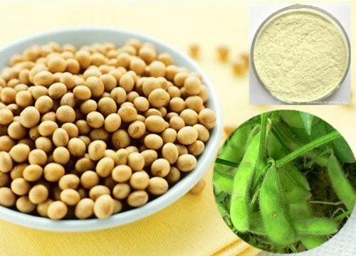 Soybean Extract 4