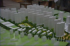 City's Landscaping Plan Architectural Design Project 1/1000