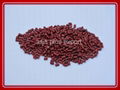 PP recycled granule -red