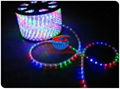 LED Hose 1