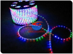 LED Hose