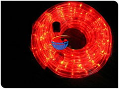 10m Steady LED Rope Light