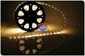 12v LED Rope Light