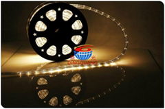 12v LED Rope Light