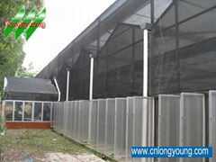 Plastic Film Multi-Span Greenhouse 