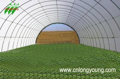 Economical Tunnel Greenhouse 3