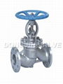 Globe Valve 1