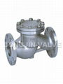 Lift Check Valve