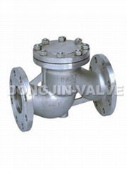 Lift Check Valve