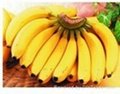 求購芒果菠蘿香蕉 2