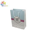 Custom shopping paper bag with logo printing 