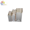 Custom shopping paper bag with logo printing 