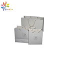 Custom shopping paper bag with logo printing 