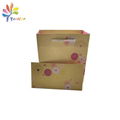 Customized paper bag for gift package 