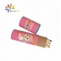 Customized paper tube for pencil package 