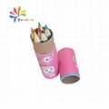 Customized paper tube for pencil package 