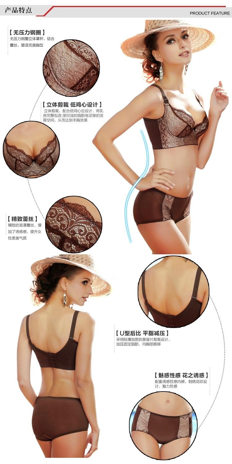 Magnetotherapy Women sexy fashion Bra and Brief Sets 2