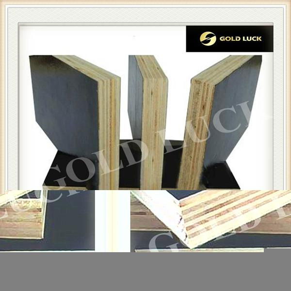 Black film faced plywood 