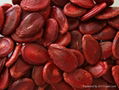 Red Watermelon Seeds 1