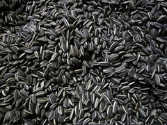 Sunflower Seeds