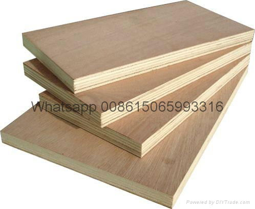 Plywood  4