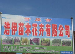 開原市浩伊苗木花卉有限公司 開原市浩伊苗木花卉有限公司