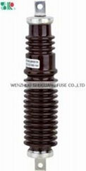 Porcelain Type Arrestor 11kv Lightning Surge Arresters