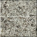  Quartz Countertop for kitchen with multicolor Quartz Countertop for kitchen wit 4