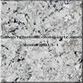 Quartz Countertop for kitchen with