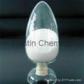 AMPS (ATBS) POLYMER FLUID LOSS ADDITIVE