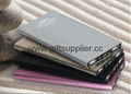 12000mAh Metal Polymer Portable Power Banks 5