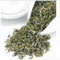 China tea 41022 chunmee green tea  3