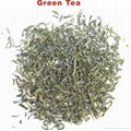 Fresh Collection Organic Green Tea,